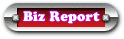 Biz Report